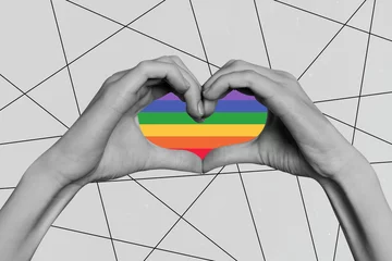 Schilderijen op glas 3D photo collage composite trend image of black white silhouette heart rainbow shape made from hand fingers show love lgbt gay lesbian © deagreez