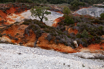 larderello and biancane di monterotondo geothermal phenomenon clean energy production grosseto livorno