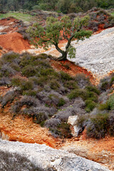 larderello and biancane di monterotondo geothermal phenomenon clean energy production grosseto...