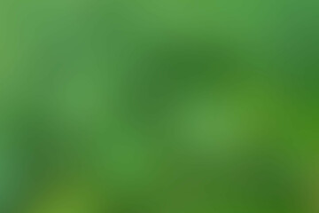 green gradient background abstract blurry fresh green