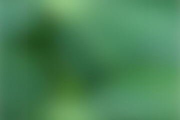 green gradient background abstract blurry fresh green