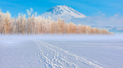 Many footprints visible in the snow-covered valley frozen tree in the background - Siberia, Russia