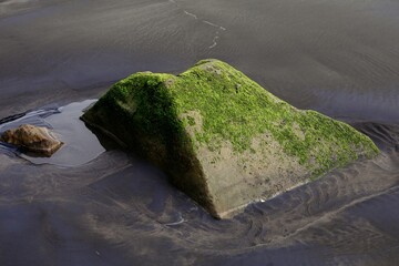 Abstract rock and algae formations at the Three Sisters, Tongaporutu, Taranaki, New Zealand.