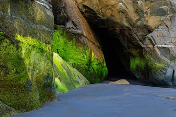 Abstract rock and algae formations at the Three Sisters, Tongaporutu, Taranaki, New Zealand.