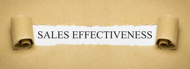 Sales Effectiveness