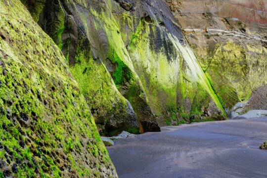 Abstract rock and algae formations at the Three Sisters, Tongaporutu, Taranaki, New Zealand.