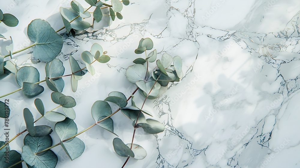 Aufkleber border of eucalyptus leaves on a marble background lay flat : generative ai