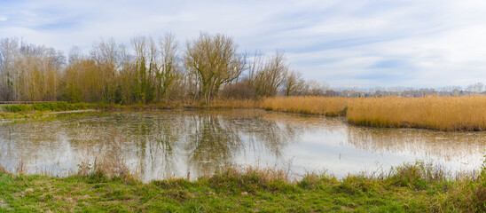 Panorama de un pequeño estanque tranquilo del Lago Banyoles en invierno, con reflejos de árboles...