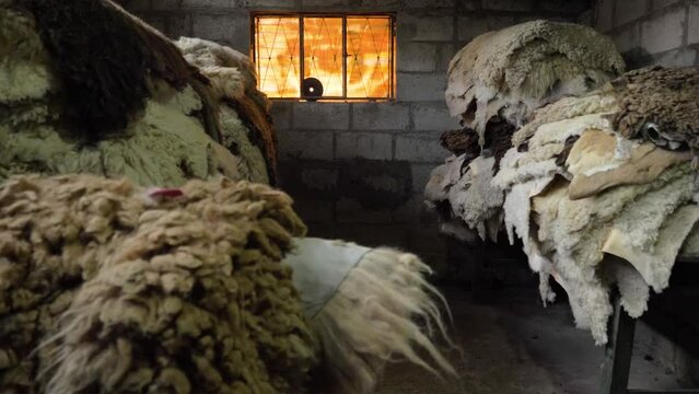 warehouse of tanned sheep, llamingo and llama skins