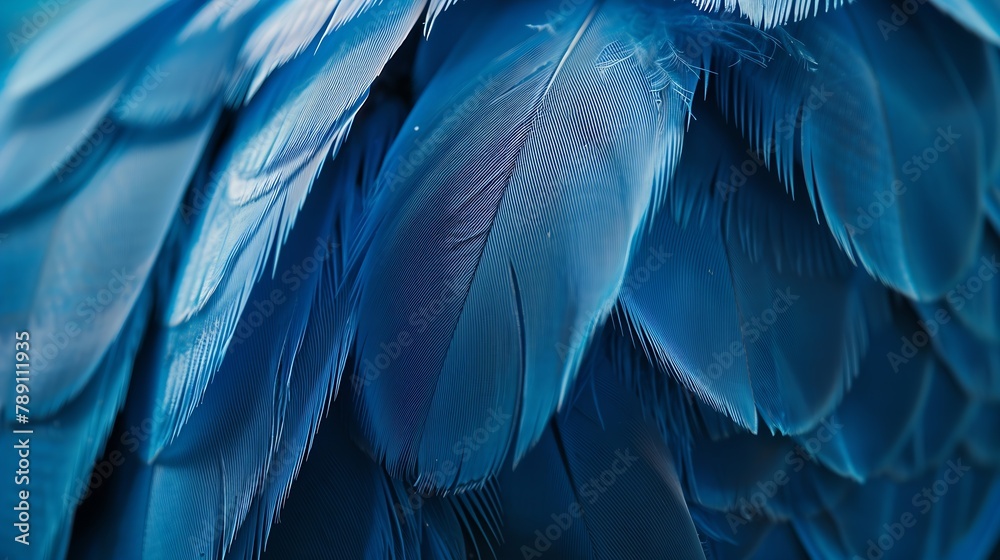 Poster blue feather pigeon macro photo texture or background : generative ai
