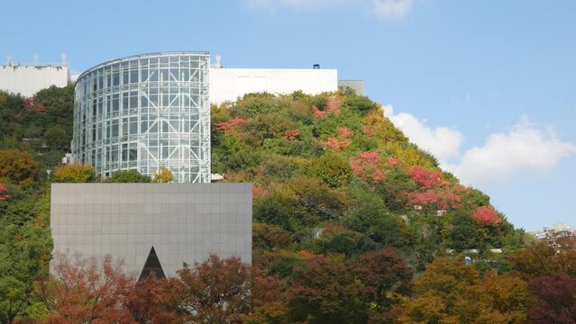 Tenjin Central Park with park on the building in autumn daytime with color change on tree leaves on the building under clear blue sky