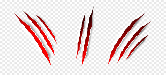 Claws scratches - vector isolated. Claws scratches animal claw tracks cat or tiger bear or lion attack nails scratches. Horror, halloween monster. Vector