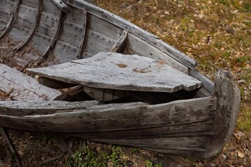 Remains of old wooden row boat left in forest.