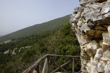 Picturesque view of green forest in mountains