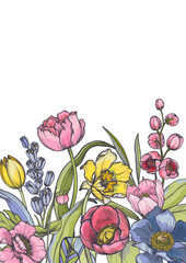 Vector composition of spring flowers, leaves and branches. Different flowers, tulips, anemones and other plants in beautiful floral frame.