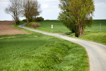 small country road with crossing in the background