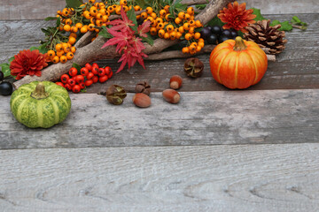 Autumn background: autumnal arrangement with pumpkin, berries autumn leaves on wooden board and...