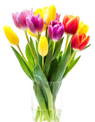 Obraz premium Bunter Tulpen Blumenstrauss isoliert auf weißen Hintergrund, Freisteller 