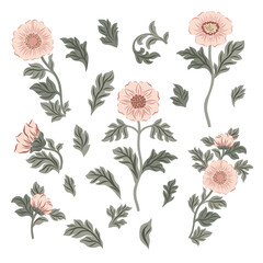 Vector clipart with flowers on isolated white background in William Morris style