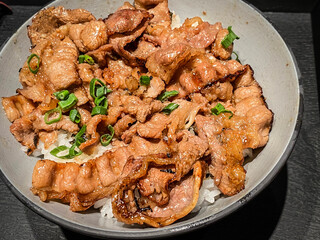 Hearty Japanese Pork Rice Bowl for Comfort Dining