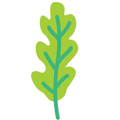 Arugula Icon