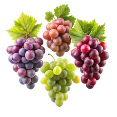 Red and green Grapes isolated on transparent background