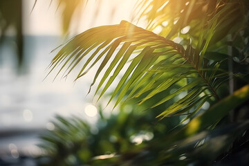 Beautiful summer time with palm tree leaves with blurred seascape on the background. summer beach with sun light.