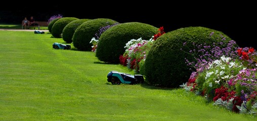 Silent mowers maintain the grassy area in the park
