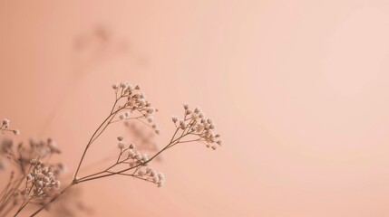 Soft Peach Canvas with Single Baby's Breath Detail.