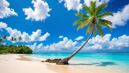 Foto op Canvas Paradise beach with palm trees in tropical sea. Beautiful palm tree on a tropical island. Ocean and blue sky. Amazing summer holiday. © 360VP