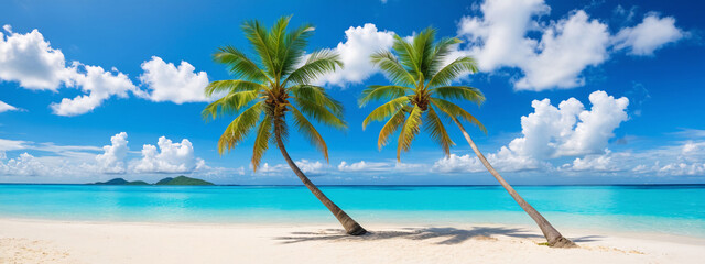 Paradise beach with palm trees in tropical sea. Beautiful palm tree on a tropical island. Ocean and blue sky. Amazing summer holiday.