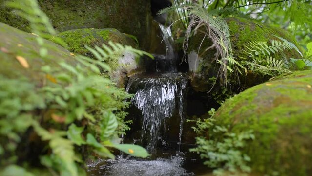 Small waterfall in forest