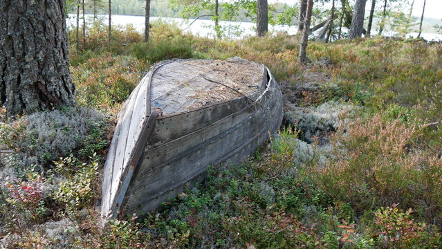 Holzboot