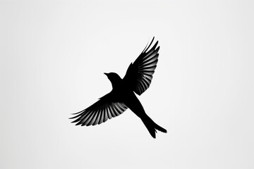 A minimalist black silhouette of a flying bird against a clean white background