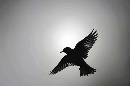 Minimalist black and white image of a bird silhouette in flight with a bright sun backdrop