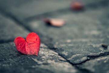 Fototapeta premium Close-up photo of a red heart-shaped leaf on a textured gray pavement, symbolizing love and solitude