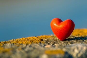 Fototapeta premium Vibrant red heart-shaped symbol stands out against a blurred natural backdrop, conveying love and simplicity