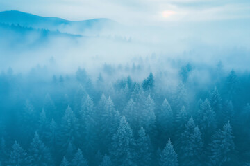 Dawn breaks with a whisper over a forest of frosty pines, shrouded in mist, as the soft hues of morning create a hushed and mystic tableau.