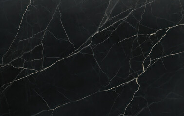 Black marble background with fine veins.