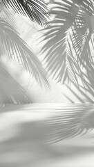 Palm Tree Shadow on White Background