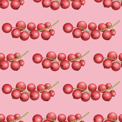 Seamless vector red currant berries pattern