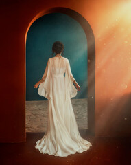 Fantasy mystery silhouette young woman back rear view. Girl walking in room arched doorway full sun...