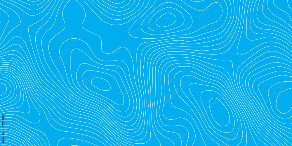 Wall mural abstract blue topography contour map background design .geometric white wave curve lines texture .ab