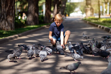 A little blond boy feeds pigeons in the park. Selective focus.
