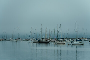 Calm and quiet ambience in the harbour of Morro Bay, California, during a foggy morning