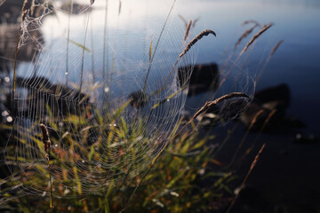 Fog in the lake. Morning nature water white fog.