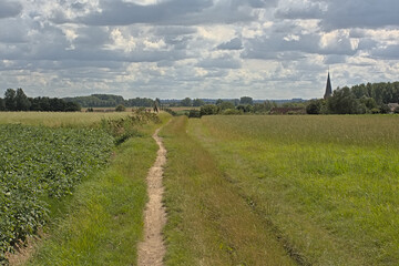  Footpath along fields with trees in the Flemish countryside with church in the distance on a cloudy summer day 