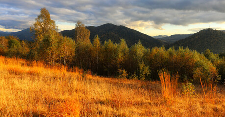 wonderful autumn sunrise image in mountains, autumn morning dawn, nature colorful background,...