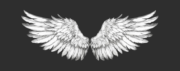 Hand drawn wings, sketch bird or angel wing with feathers. Vector illustration - obrazy, fototapety, plakaty