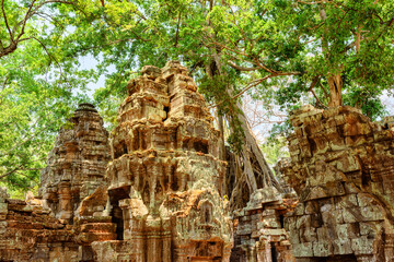 Ruins of Ta Prohm temple in Angkor, Cambodia - 789199384